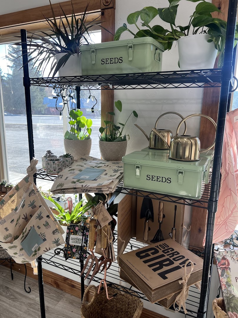 Inside the shop