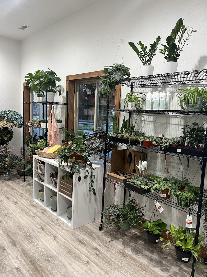 Shop interior